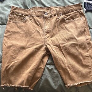 Men's size 38 Levi Tan Biker Shorts